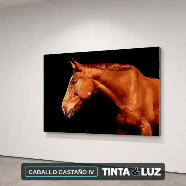 CABALLO CASTAÑO IV