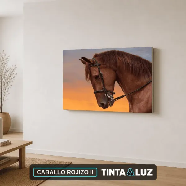 CABALLO ROJIZO II