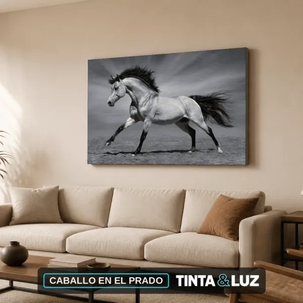 CABALLO EN EL PRADO