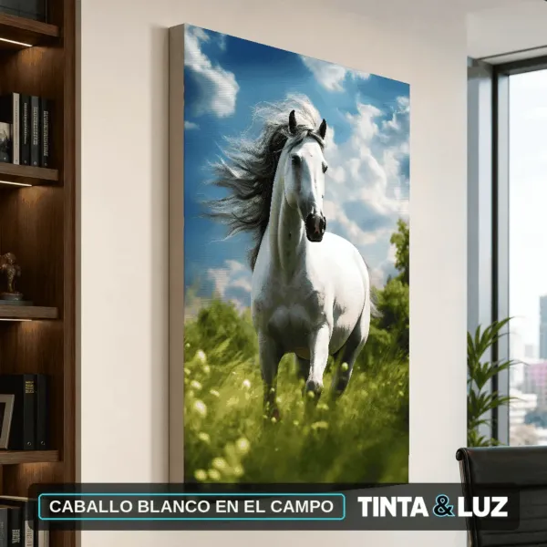 CABALLO BLANCO EN EL CAMPO