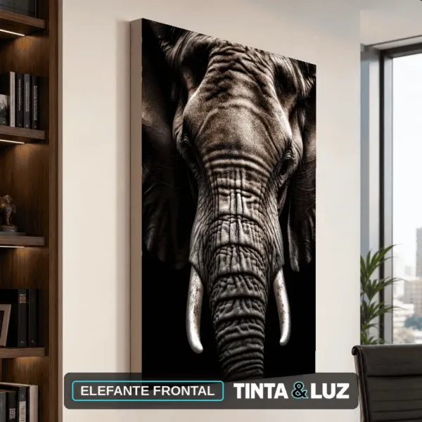 ELEFANTE FRONTAL