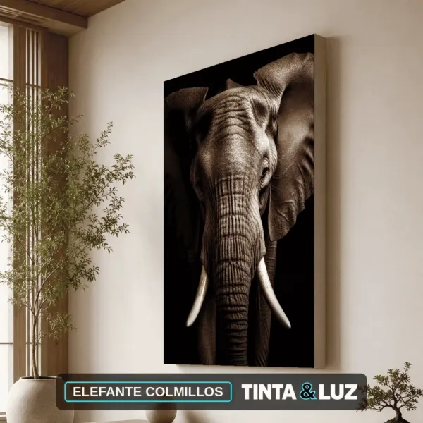 ELEFANTE COLMILLOS