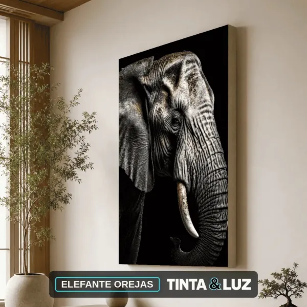 ELEFANTE OREJAS
