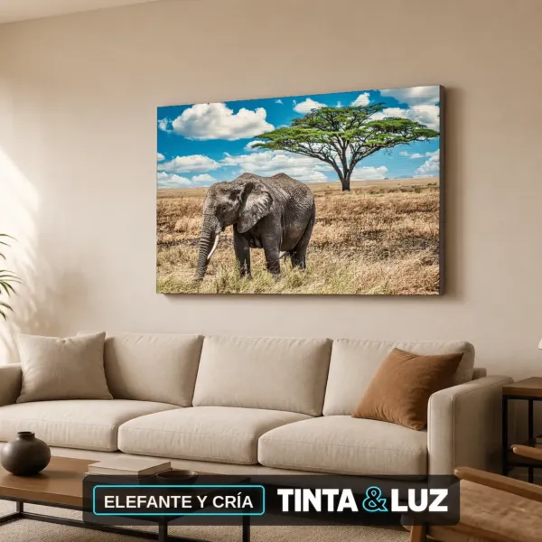 ELEFANTE Y CRÍA