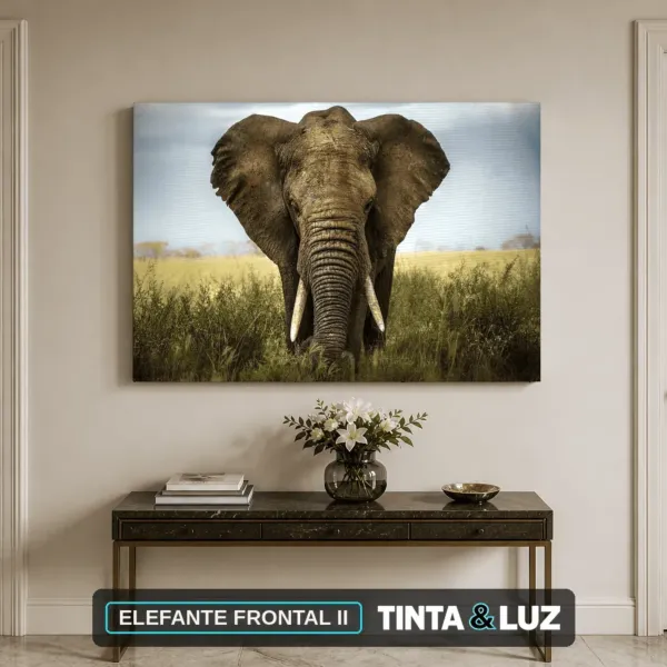 ELEFANTE FRONTAL II