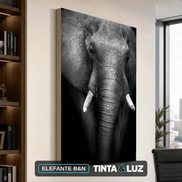 ELEFANTE B&N