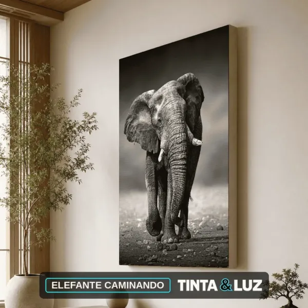 ELEFANTE CAMINANDO