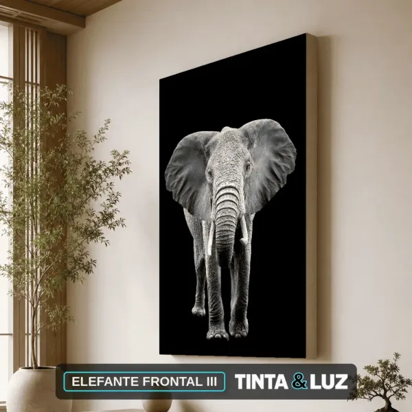 ELEFANTE FRONTAL III