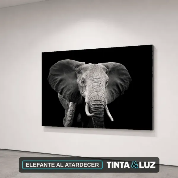 ELEFANTE AL ATARDECER