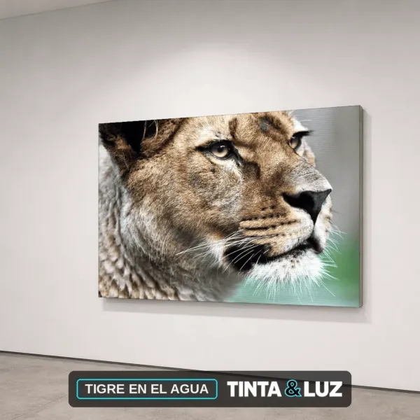 TIGRE EN EL AGUA