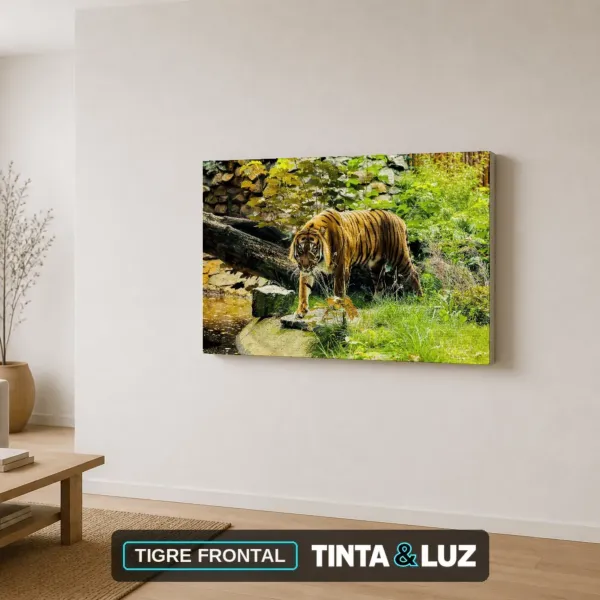 TIGRE FRONTAL