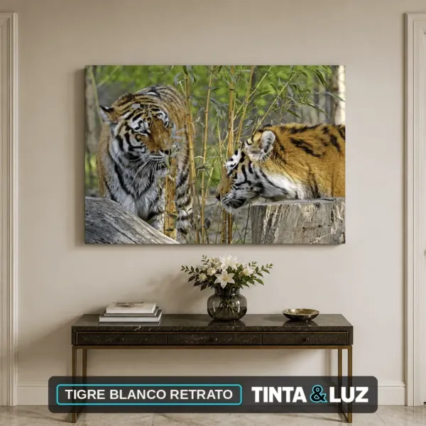 TIGRE BLANCO RETRATO