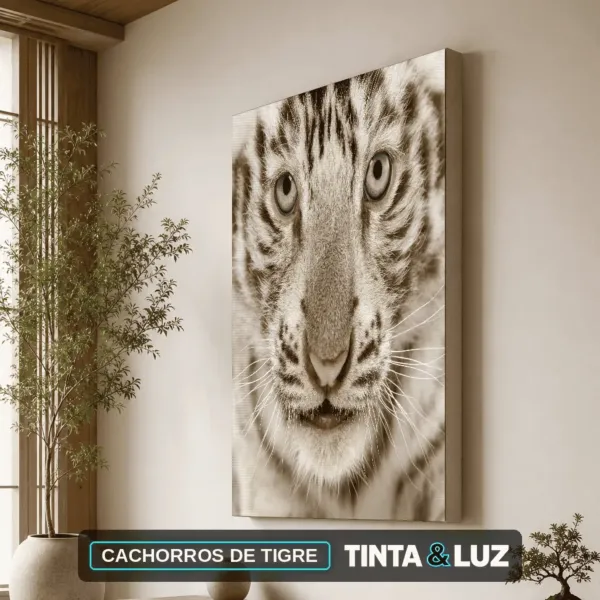 CACHORROS DE TIGRE