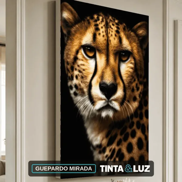 GUEPARDO MIRADA