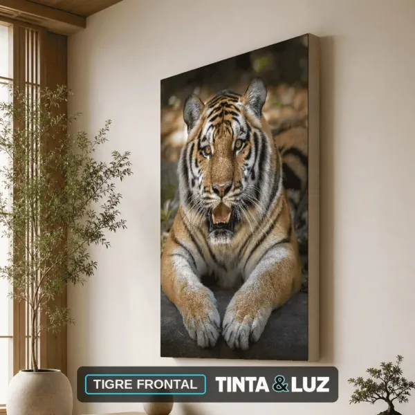 TIGRE FRONTAL
