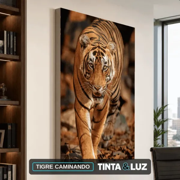 TIGRE CAMINANDO
