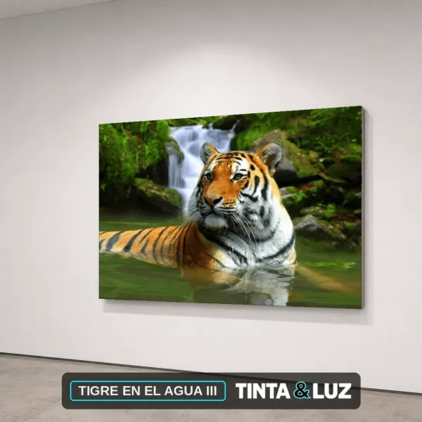 TIGRE EN EL AGUA III