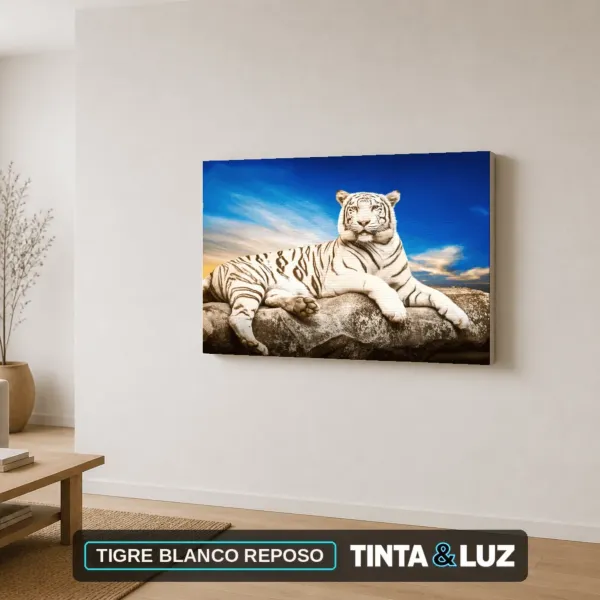 TIGRE BLANCO REPOSO