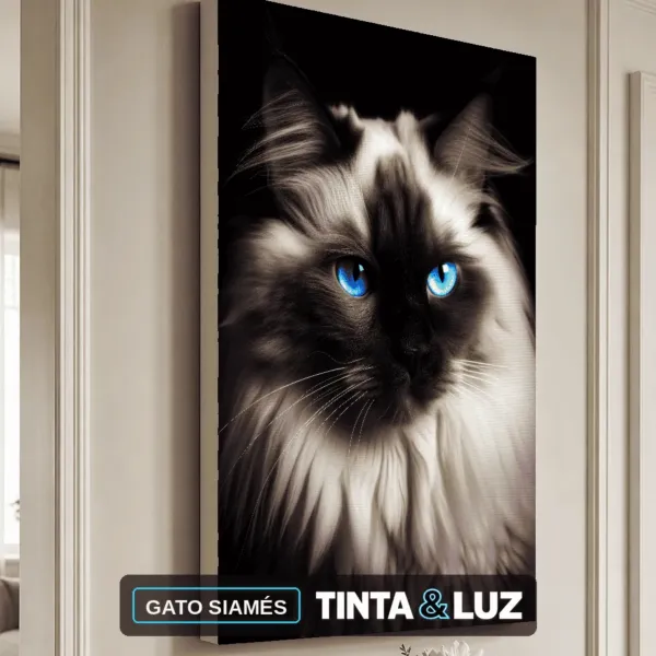 GATO SIAMÉS