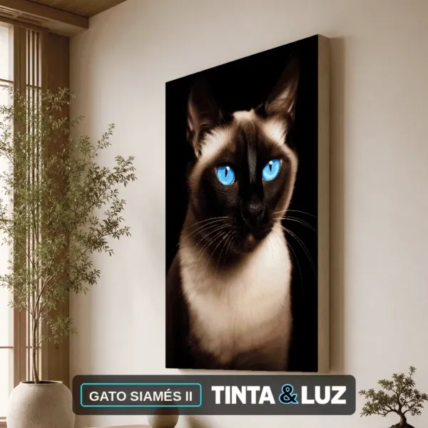 GATO SIAMÉS II
