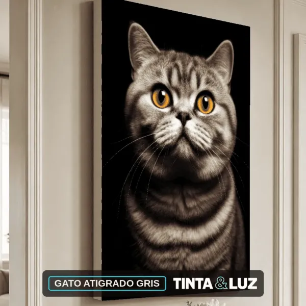 GATO ATIGRADO GRIS