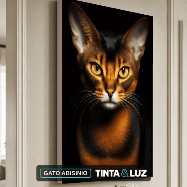 GATO ABISINIO