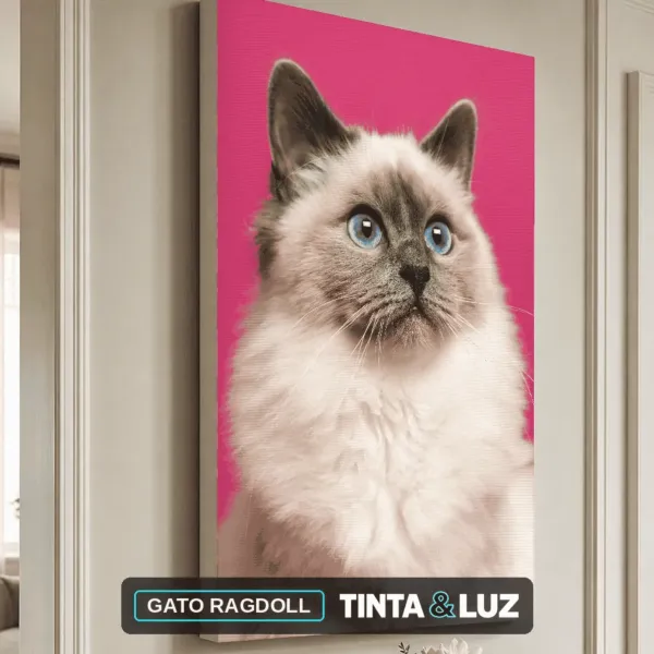 GATO RAGDOLL