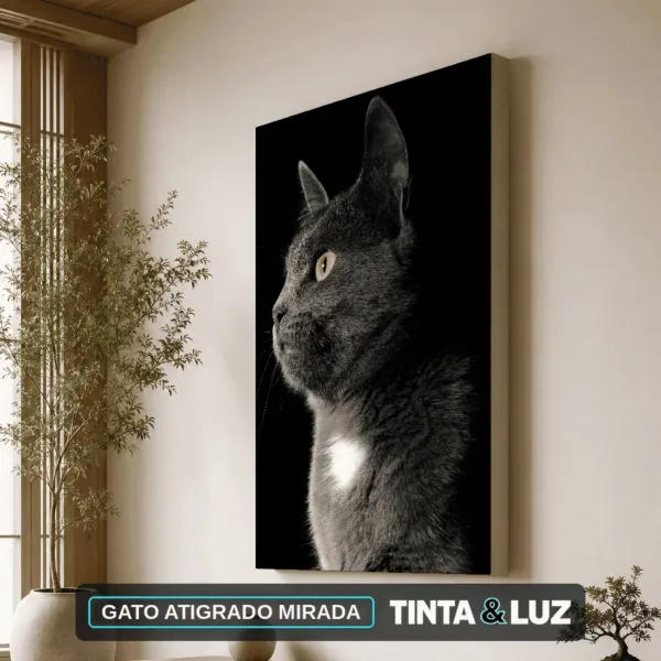 GATO ATIGRADO MIRADA