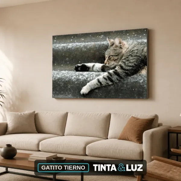GATITO TIERNO