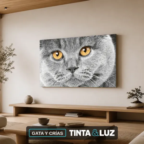 GATA Y CRÍAS
