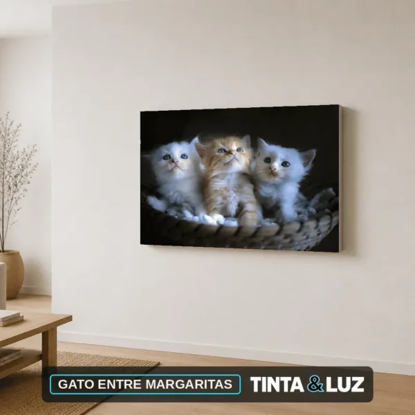 GATO ENTRE MARGARITAS