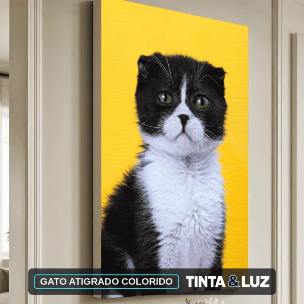 GATO ATIGRADO COLORIDO