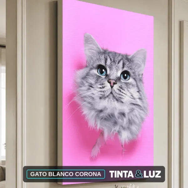 GATO BLANCO CORONA