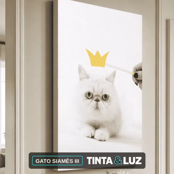 GATO SIAMÉS III