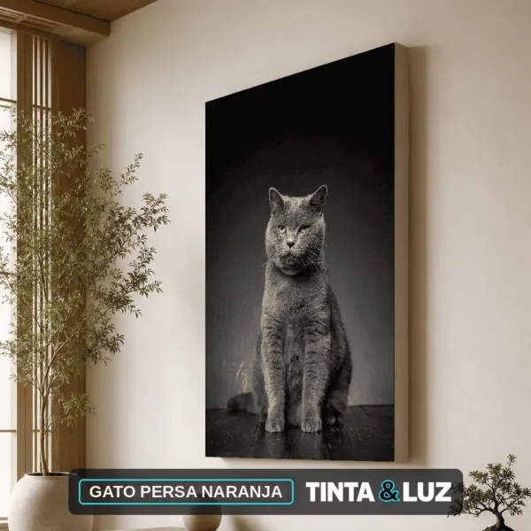 GATO PERSA NARANJA