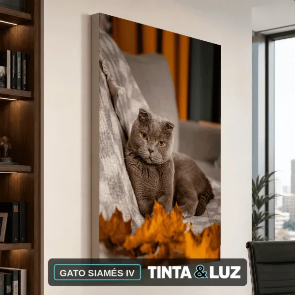 GATO SIAMÉS IV