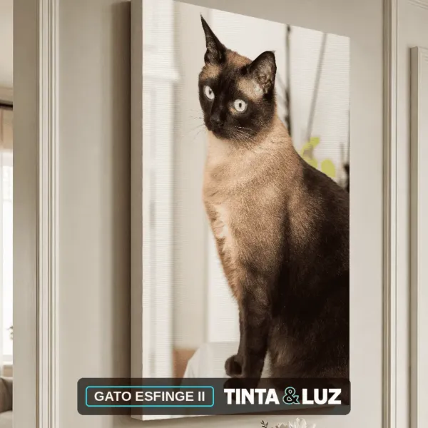GATO ESFINGE II