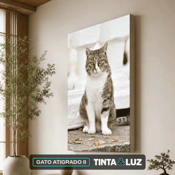GATO ATIGRADO II