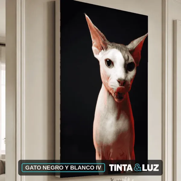 GATO NEGRO Y BLANCO IV