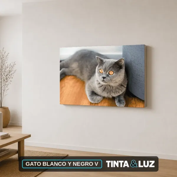 GATO BLANCO Y NEGRO V