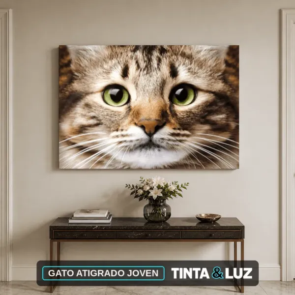 GATO ATIGRADO JOVEN