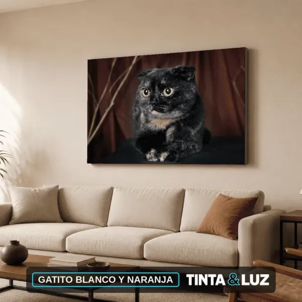 GATITO BLANCO Y NARANJA