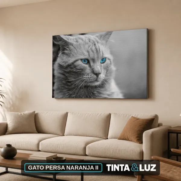 GATO PERSA NARANJA II