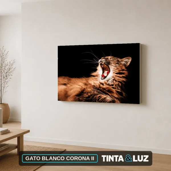 GATO BLANCO CORONA II