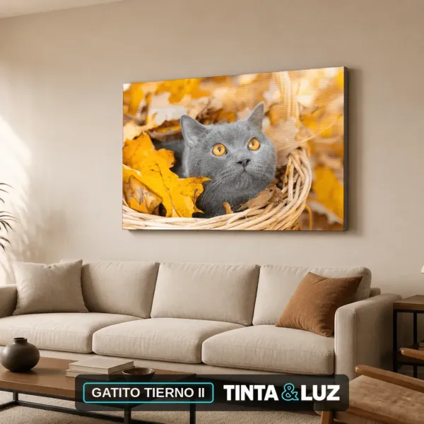 GATITO TIERNO II