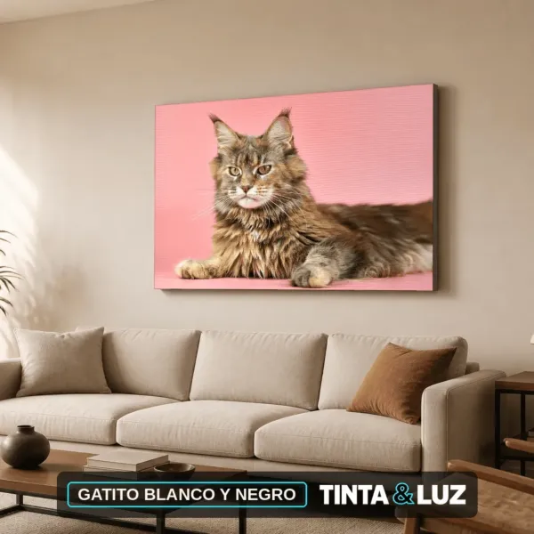 GATITO BLANCO Y NEGRO