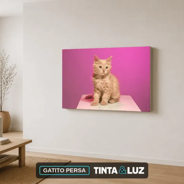 GATITO PERSA