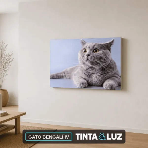 GATO BENGALÍ IV