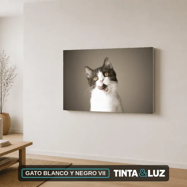 GATO BLANCO Y NEGRO VII