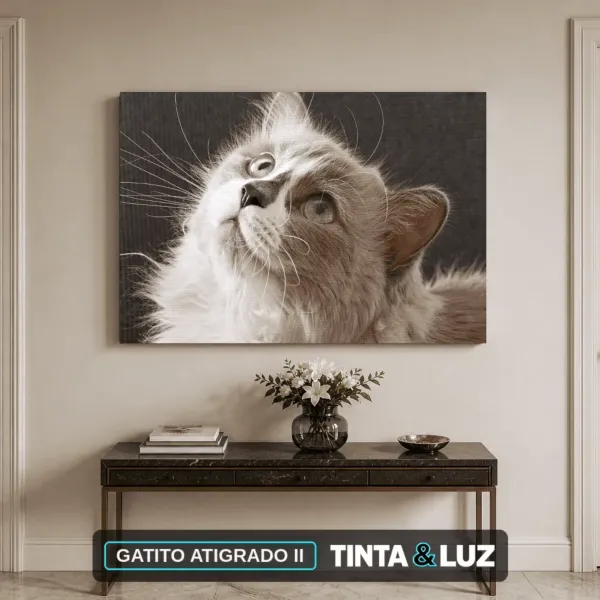 GATITO ATIGRADO II